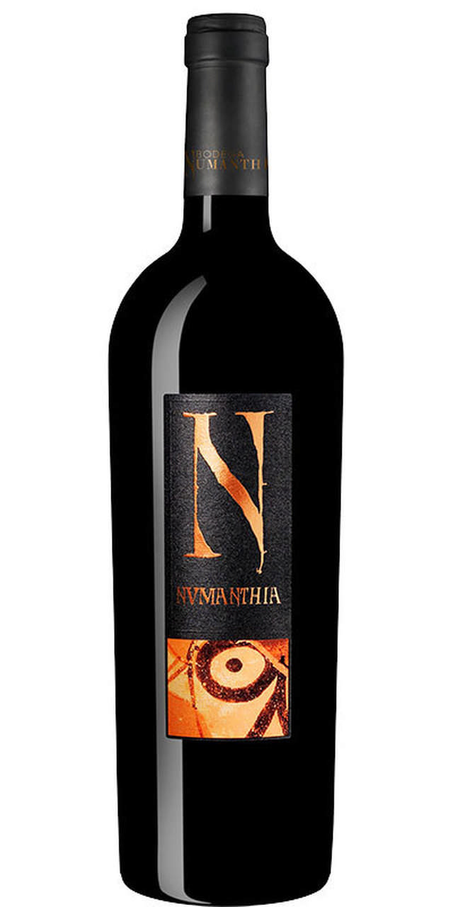 Bodega Numanthia 