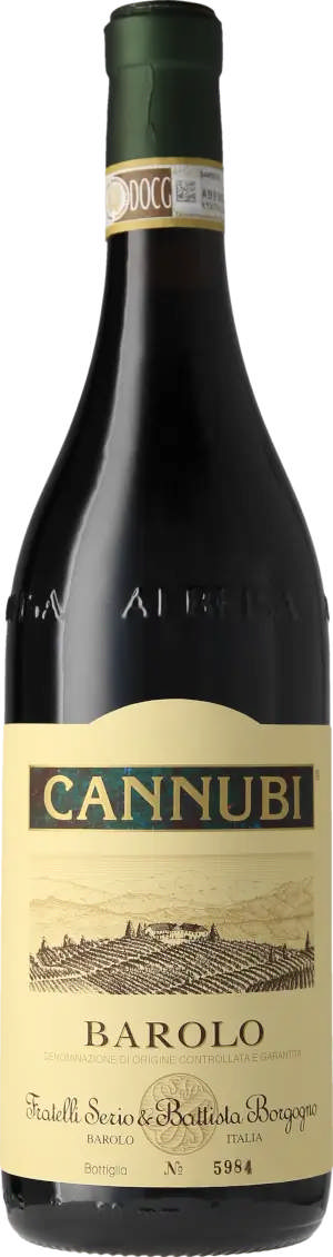 Cannubi Barolo 2017