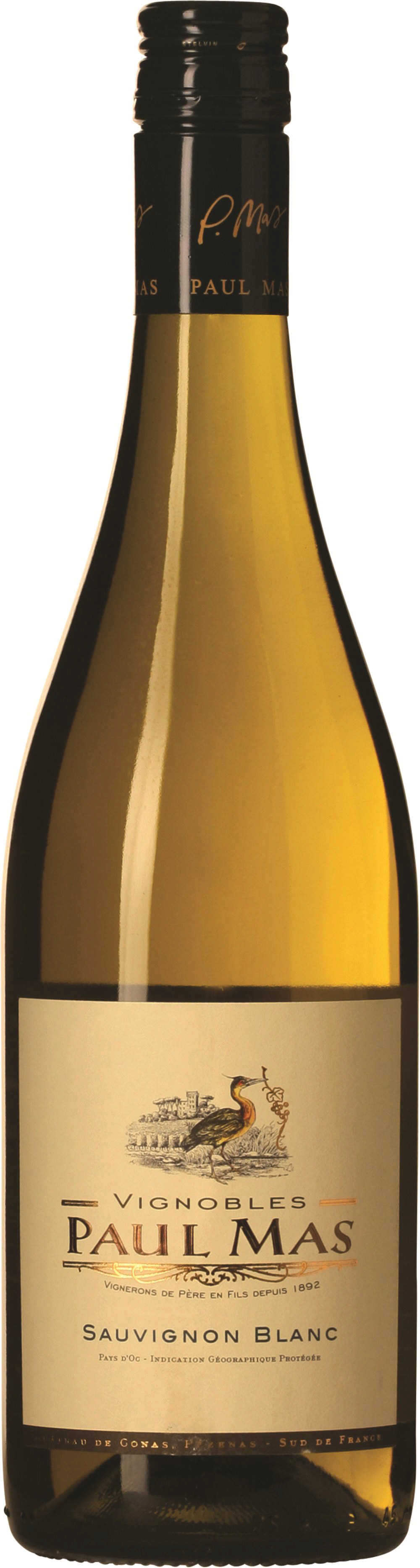 Paul Mas Sauvignon Blanc