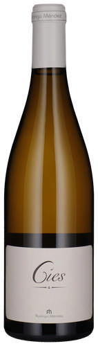 Rodrigo Méndez Albariño Cìes 2023